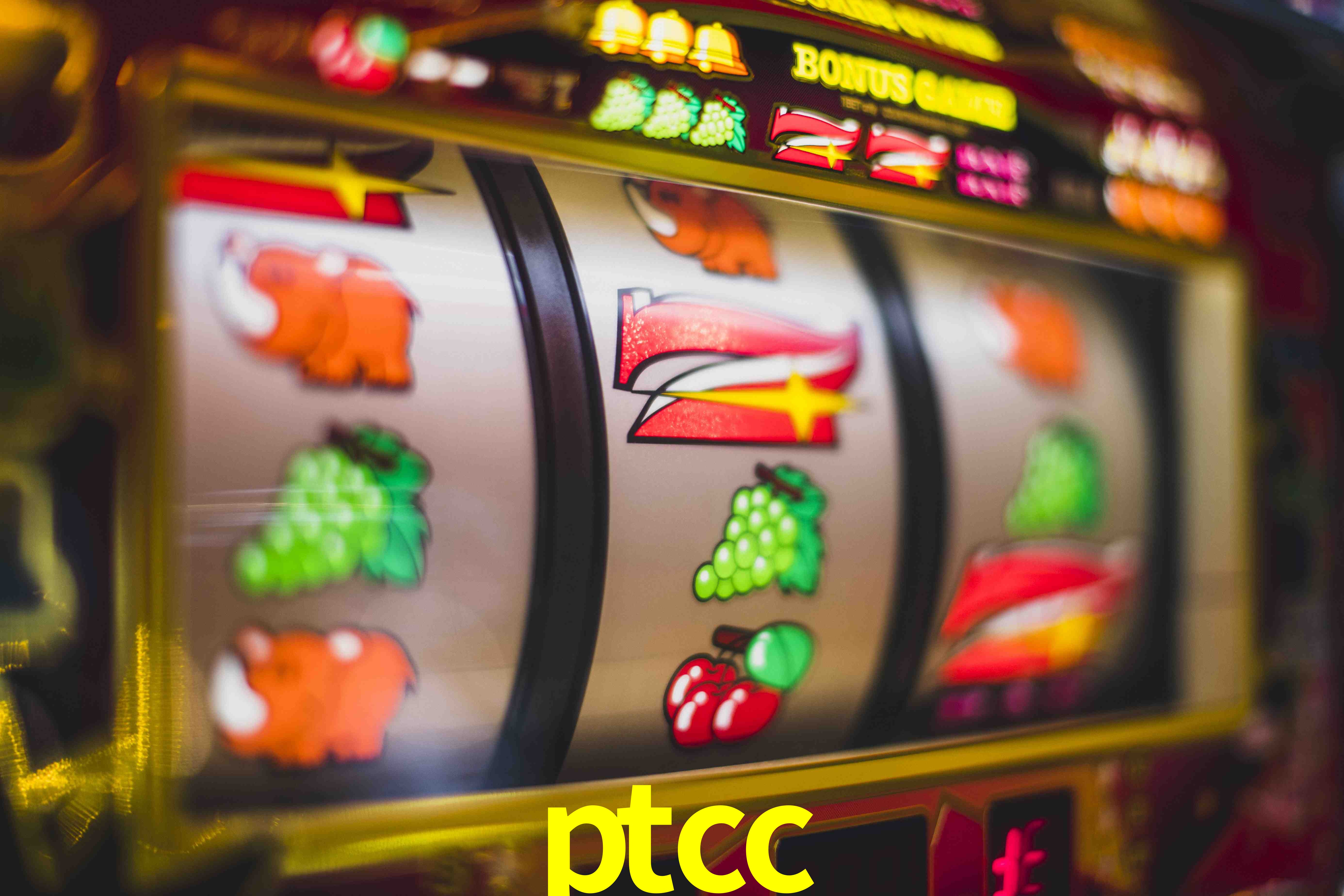 Tennis Betting ptcc
